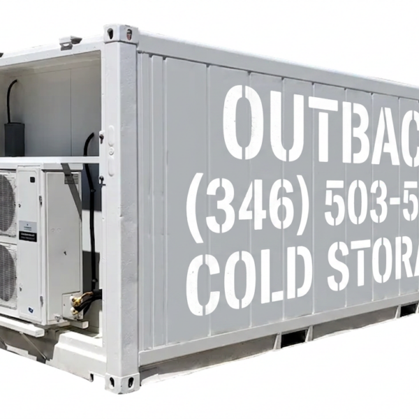 Single-Phase 20ft New Refrigerated Container Low Temp
