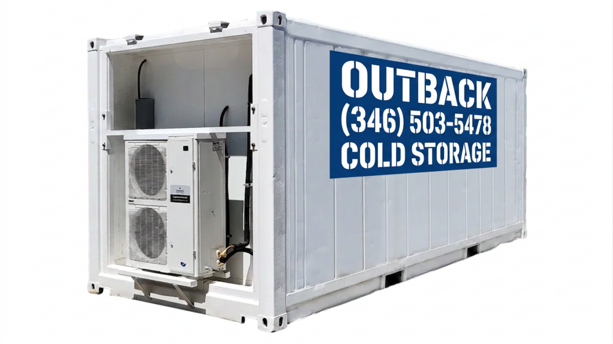 Single-Phase 20ft Refurbished Refrigerated Container Low Temp